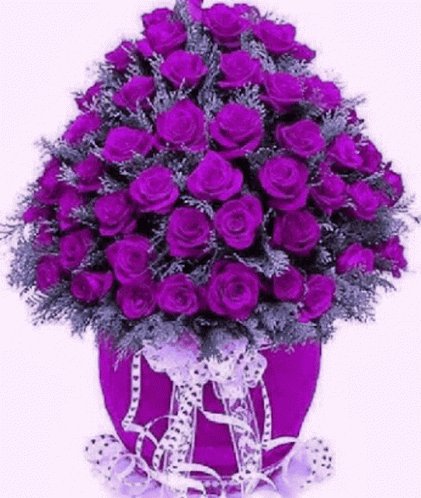 Flashing Purple GIF - Flashing Purple Flowers GIFs