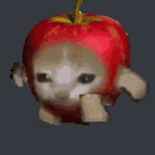 Apple Cat GIF - Apple Cat Slow GIFs