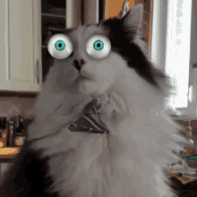 omg cats theoreocat eyes popping out