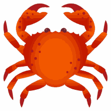 crab seafood