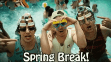Celebrate Spring Break GIF - Celebrate Spring Break Party GIFs