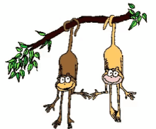 Monkeys Hanging Around GIF - Monkeys Hanging Around Holding Hands GIFs