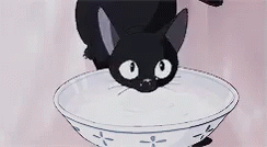 魔女の宅急便　ジジ　ジブリ　びっくり GIF - Ghibli Surprised Cat GIFs