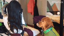 High Five With My Dog The Pack GIF - High Five With My Dog The Pack Well Trained Dog GIFs