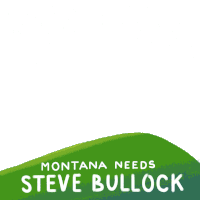 Montana Mt Sticker - Montana Mt Bullock Stickers