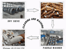 Cassava Cleaning And Washing Machine Cassava Cleaning Machine GIF - Cassava Cleaning And Washing Machine Cassava Cleaning Machine GIFs