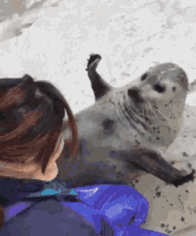 Seal Hug GIF - Seal Hug Kiss GIFs