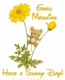 Have A Sunny Day Good Morning GIF - Have A Sunny Day Good Morning Yellow GIFs