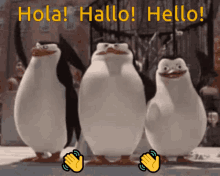 Hola Hallo GIF - Hola Hallo Hello GIFs