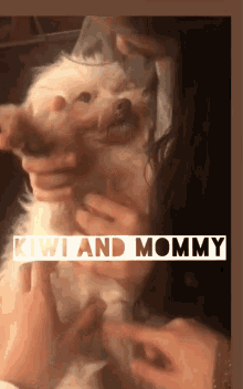 kiwi and mommy dog cute