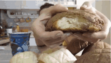 Concha Bread GIF - Concha Bread GIFs