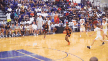 Alley Oop Highlight GIF - Alley Oop Highlight Dunking GIFs