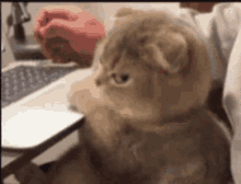 Annoyed Disappointed GIF - Annoyed Disappointed Mad GIFs
