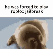 He Was Forced To Roblox GIF - He Was Forced To Roblox GIFs