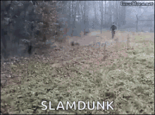 slam dunk funny animals dogs