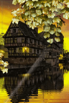 house focus lake leaves house focus lake leaves
