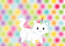 Colorcat Yay GIF - Colorcat Cat Yay GIFs