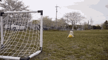Purin Is Ready For The World Cup! GIF - Dog Beagle Soccer GIFs