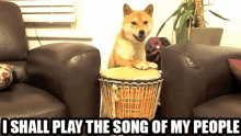 songofmypeople music doge songofmypeople music doge