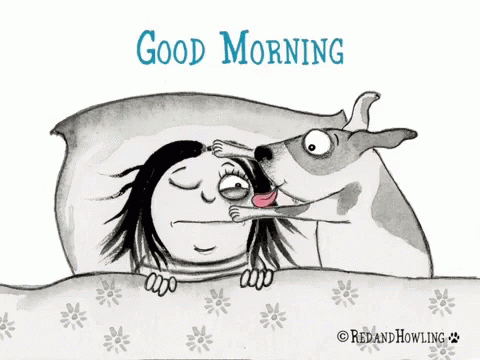 Good Morning Dog Kisses Gif Good Morning Dog Kisses Descubre Comparte Gifs