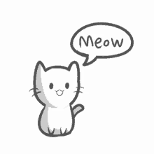 meow kitty