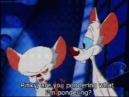 Pinky And The Brain Pinky Are You Pondering What Im Pondering GIF - Pinky And The Brain Pinky Are You Pondering What Im Pondering Pondering GIFs