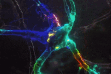 Neurona Jy R GIF - Neurona Jy R Emocion GIFs
