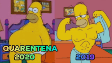 Quarentena Homer Simpson GIF - Quarentena Homer Simpson The Simpsons GIFs