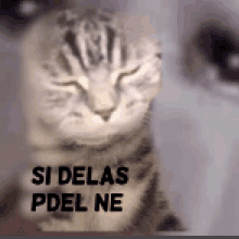 mia prdel si delas pdel ne si delas prdel ne si d%C4%9Bl%C3%A1%C5%A1prdel n%C4%9B mia prdel si delas pdel ne si delas prdel ne si d%C4%9Bl%C3%A1%C5%A1prdel n%C4%9B