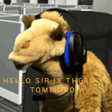 yg tomorrow camel