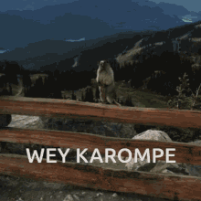Karompe Compe GIF - Karompe Compe GIFs