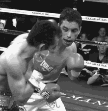Boxing Punching GIF - Boxing Punching Counter Attack GIFs