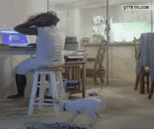Funny Dog Getting Knocked Down By Dog GIF - Funny Dog Getting Knocked Down By Dog When Your Dog Dont Want You To Work GIFs