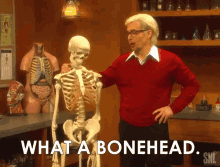 Bonehead Skeleton GIF - Bonehead Skeleton Joke GIFs