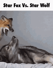 Fox Wolf GIF - Fox Wolf Star Fox GIFs