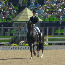 Riding Horse Steffen Peters GIF - Riding Horse Steffen Peters Olympics GIFs