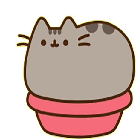 pusheen sitting