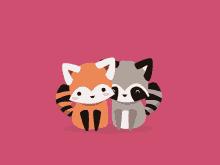 Red Panda Racoon GIF - Red Panda Racoon Love GIFs