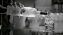 Gray Goose Alcohol GIF - Gray Goose Alcohol GIFs