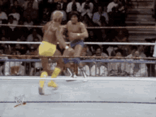 Hulk Hogan Wwe GIF - Hulk Hogan Wwe Get Out GIFs