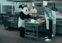 Panda Mad GIF - Panda Mad Coke GIFs