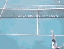 Ernests Gulbis Forehand GIF - Ernests Gulbis Forehand Serve GIFs