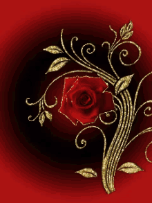 red rose animation