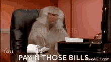 Baboon Office GIF - Baboon Office Paying Those Bills GIFs