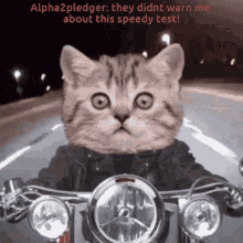 Voy En Chingas Cat GIF - Voy En Chingas Cat Motorcycle GIFs