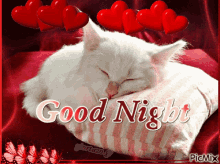 Good Night Cats GIF - Good Night Cats Sleep GIFs