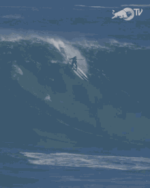 Surfing Red Bull GIF - Surfing Red Bull Sliding GIFs