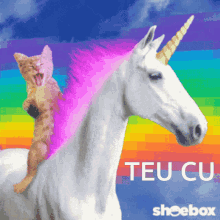 teucu seucu teucu seucu