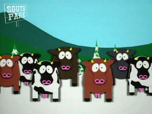 Cows