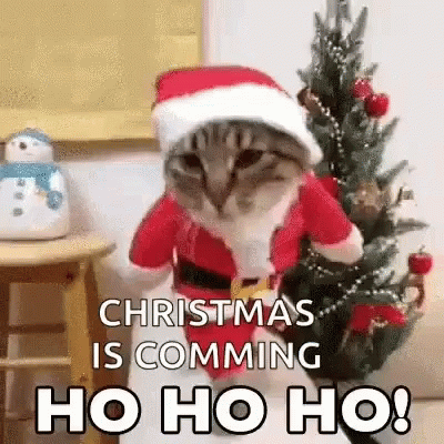 Santa Claus Cat GIF - Santa Claus Cat Hohoho GIFs